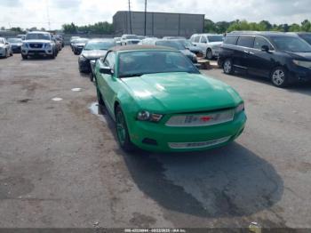  Salvage Ford Mustang