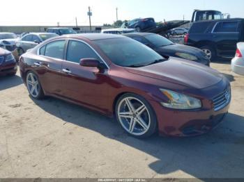  Salvage Nissan Maxima