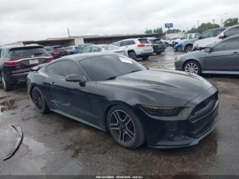  Salvage Ford Mustang