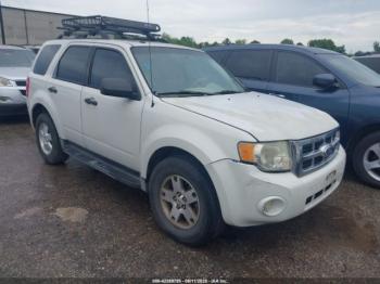  Salvage Ford Escape