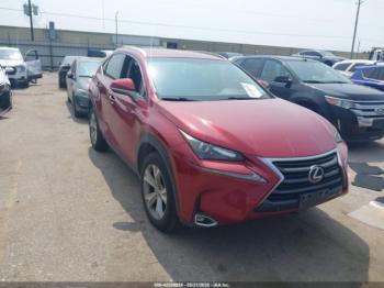  Salvage Lexus NX