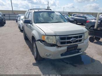  Salvage Ford Escape