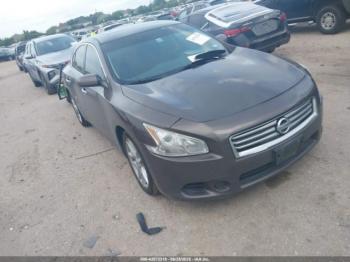  Salvage Nissan Maxima