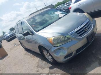  Salvage Honda Odyssey