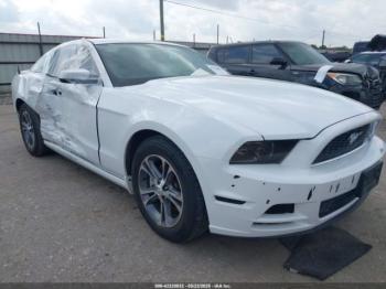  Salvage Ford Mustang
