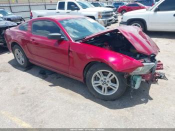  Salvage Ford Mustang