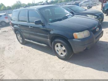  Salvage Ford Escape