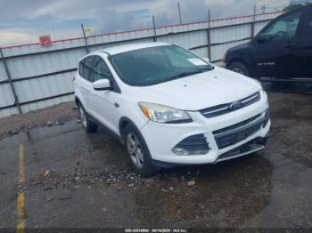  Salvage Ford Escape