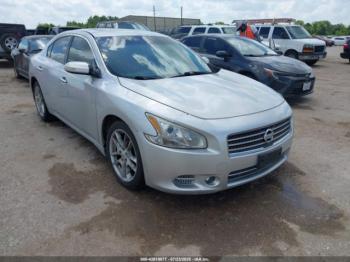  Salvage Nissan Maxima