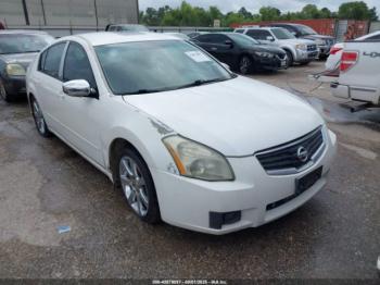  Salvage Nissan Maxima
