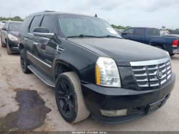  Salvage Cadillac Escalade
