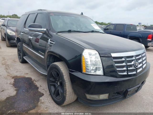  Salvage Cadillac Escalade