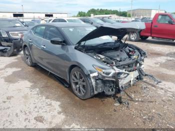  Salvage Nissan Maxima