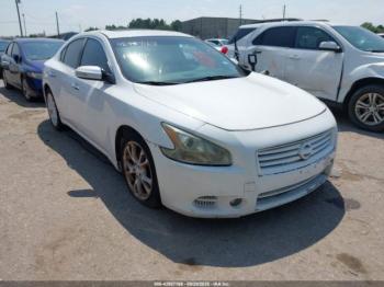  Salvage Nissan Maxima
