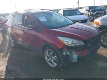  Salvage Ford Escape