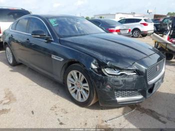  Salvage Jaguar XF