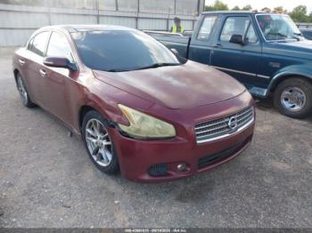  Salvage Nissan Maxima