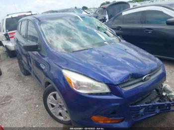  Salvage Ford Escape