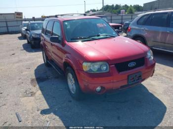  Salvage Ford Escape