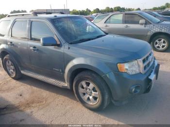  Salvage Ford Escape