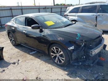  Salvage Nissan Maxima