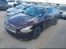 Nissan Maxima Image 3