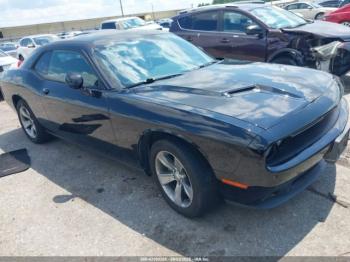  Salvage Dodge Challenger