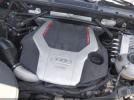 Audi Sq 3.0t Premium Plus Image 14
