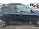 Ford Escape Sel Image 14
