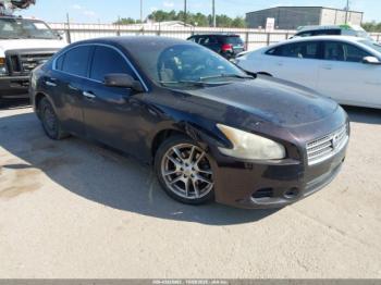  Salvage Nissan Maxima