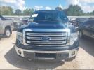 Ford F-150 King Ranch Image 15