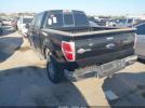 Ford F-150 King Ranch Image 7