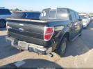 Ford F-150 King Ranch Image 11