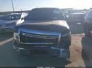 Ford F-150 King Ranch Image 9