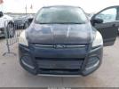 Ford Escape Se Image 10