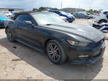  Salvage Ford Mustang