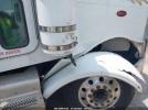 Peterbilt 388 Image 3