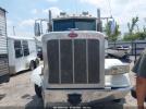 Peterbilt 388 Image 18