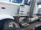 Peterbilt 388 Image 19