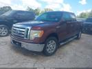 Ford F-150 Image 2