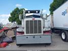 Peterbilt 388 Image 8