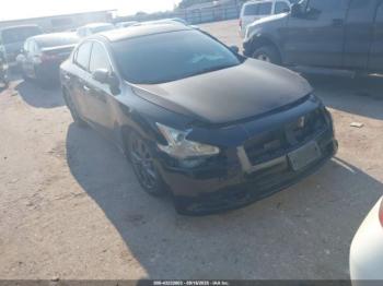  Salvage Nissan Maxima