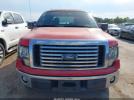 Ford F-150 Xlt Image 6