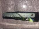 Ford Fiesta Se Image 14