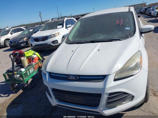 Ford Escape Se Image 5