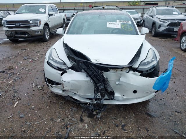 Tesla Model 3 Image 10