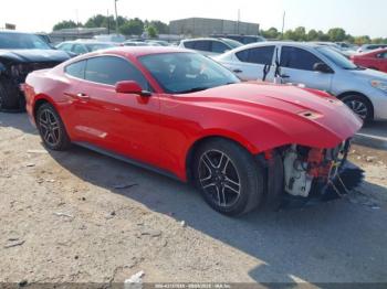  Salvage Ford Mustang