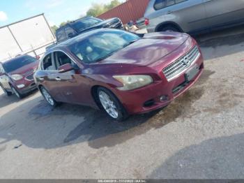  Salvage Nissan Maxima