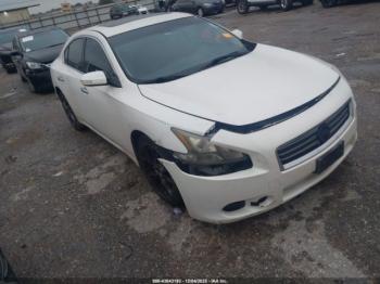  Salvage Nissan Maxima