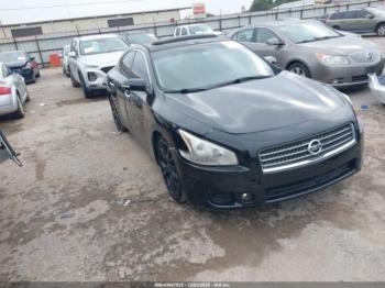  Salvage Nissan Maxima